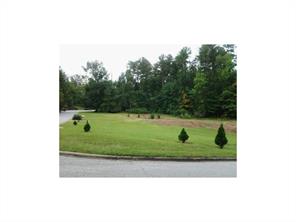 10995 Blackbrook Drive,<br />Duluth,<br />Georgia, 30097